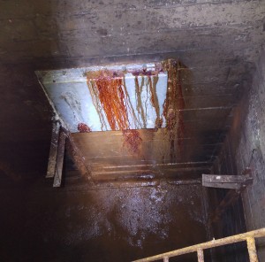 Recent repairs not doing too well!